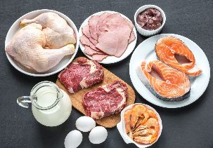 A protein rich diet for weight loss