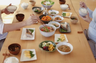 japanese cuisine of the diet